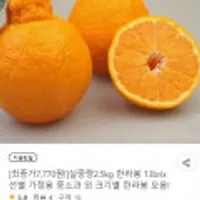 제주 한라봉 13brix 이상 가정용 중소과 실중량2.5kg 15-18과