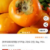 제철 산지직송 고당도 단감, 5kg