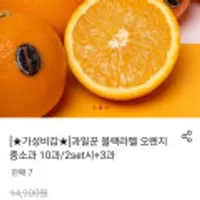 과일꾼 블랙라벨 오렌지 중소과 10과