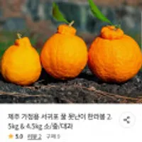 제주 가정용 서귀포 꿀 못난이 한라봉 2.5kg 소과