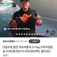 울진 후포리홍게4kg 자숙찜