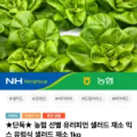 유러피언 샐러드 채소 1kg