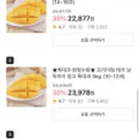 항공직송 꿀당도 프리미엄 태국 남독마이 망고 특대과 5kg