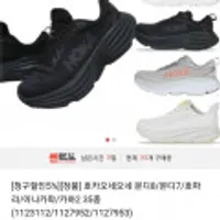 호카오네오네 본디8/본디7등 다양