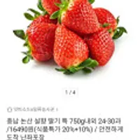 충남 논산 설향 딸기 특 750g내외 24-30과