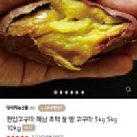 한입고구마 해남 호박 꿀 밤 고구마 3kg 무료배송