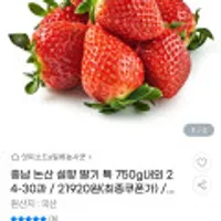 충남 논산 설향 딸기 특 750g내외 24-30과