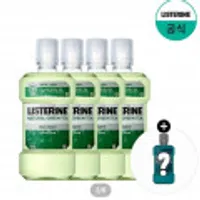 리스테린 쿨민트/그린티 마일드 750ml x 4 + 250ml증정 외