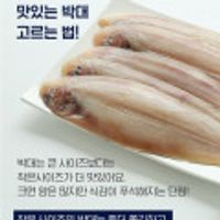 군산 청정진미 반건조 금빛박대