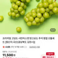 프리미엄 고당도 샤인머스켓 1kg