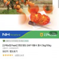 영암 황토 GAP 대봉시 홍시 5kg