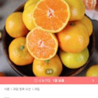 산지직송 제주 햇 노지 조생 감귤 4.5kg s~m 사이즈