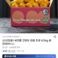 제주 감귤 4.5kg 중대과 (M-L)