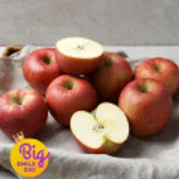 경북 부사사과 2kg 꼬마소과 14~17과 2개구매시 4.5kg