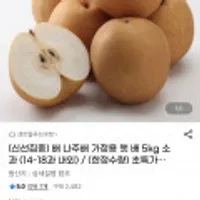 나주배 가정용 햇 배 5kg 소과