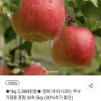 사과 부사 가정용 혼합 실속 5kg