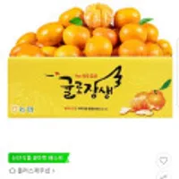 제주시농협 귤로장생귤 9kg