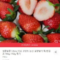 논산 설향딸기 특 750g 30-35구