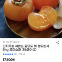 씨없는 햇 청도반시 5kg 꼬마소과
