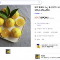 제주황금향 2kg 중소과 7~13수