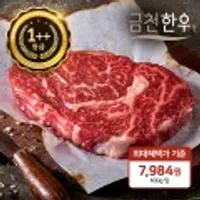 금천한우 1++등급 등심 540g (270g*2팩)