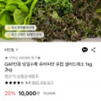 유러피안 유럽 샐러드채소 1kg