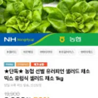 농협 선별 유러피언 샐러드 1kg