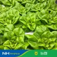 농협 샐러드용 채소 혼합 1kg