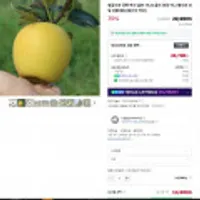 황금사과 경북 부사 홍로 시나노골드 농장 미니 별사과 과일 선물세트 (소과 2kg/