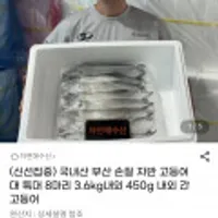 국내산 부산 손질 자반 고등어 대 특대 8마리 3.6kg내외