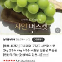 프리미엄 고당도 샤인머스켓 2kg 2-3수