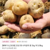 25년 햇 수미감자 중 3KG