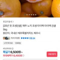 제주 노지 조생 타이벡 감귤 5kg