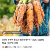 친환경(무농약/유기농) 흙당근 500g~