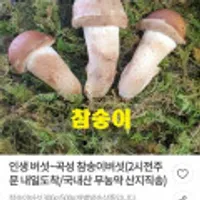 인생 버섯~곡성 참송이버섯(국내산 무농약 산지직송)300g