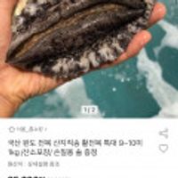 국내산 완도 활 전복 9~10미 1kg