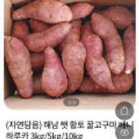 햇 해남 황토 꿀고구마 3kg