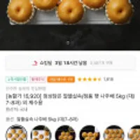 진수만 농부의 정성담은 알뜰실속/정품 햇 나주배 5kg