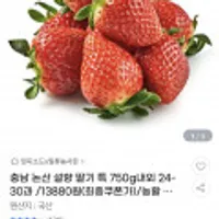 충남 논산 설향 딸기 특 750g내외 24-30과