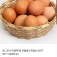 에그온 난각번호1번 무항생제 유정란 40구,60구 