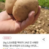 햇 수미감자 3kg 중사이즈
