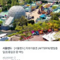 서울랜드 성인1인 자유이용권 종일권