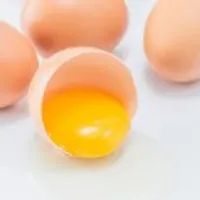 난각번호 1번 무항생제 유정란 40구