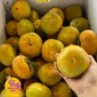 국내산 단감 5kg 중대과