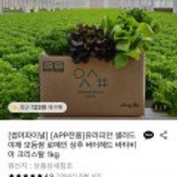 유러피안 모듬쌈 샐러드야채 1kg