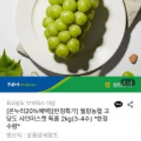월항농협 고당도 샤인머스켓 특품 2kg(3-4수)