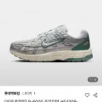 나이키 P6000 메탈릭 프리미엄