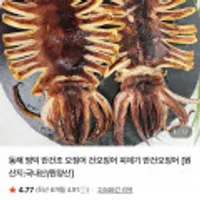원양산 반건조오징어 중 10미 (950g내외)