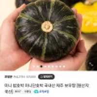 국내산 제주 보우짱 미니 밤호박 2kg