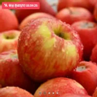 경북 홍로 1.5kg 중과 가정용